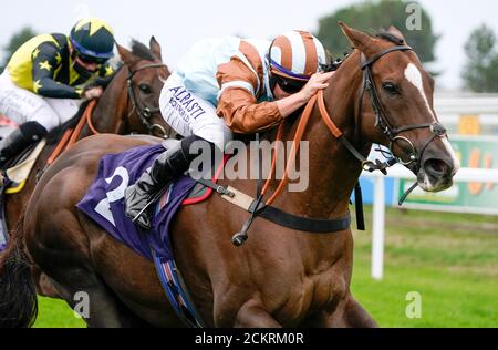 Le Prince Caspien est monté par le jockey Tom Marquand sur le chemin de gagner le Free Tips Daily sur attheraces.com handicap à l'hippodrome de Great Yarmouth. Banque D'Images