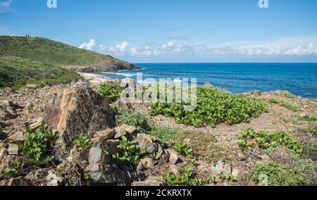 Vue imprenable sur la mer des Caraïbes avec roche côtière et verdure à l'extrémité est isolée de Sainte-Croix dans les îles Vierges américaines Banque D'Images