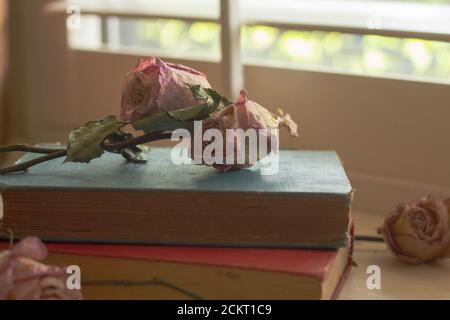 Roses séchées sur le dessus et autour d'une pile de vintage livres sur seuil de fenêtre Banque D'Images