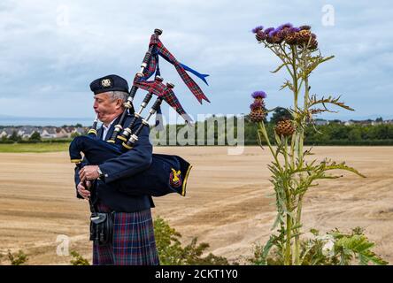 Piper jouant des cornemuses à la cérémonie de commémoration de la bataille de Pinkie Cleugh, East Lothian, Écosse, Royaume-Uni Banque D'Images