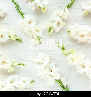gladioses blanches sur fond blanc en bois. Motif de gladioli avec espace pour votre carte de vœux de vacances texte. Disposer à plat, vue de dessus. Texture des fleurs. Banque D'Images
