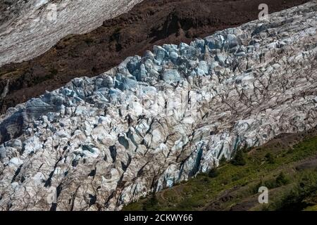 Coleman Glacier vu de Heliotrope Ridge, sous Mount Baker, Mount Baker-Snoqualmie National Forest, Washington State, USA Banque D'Images