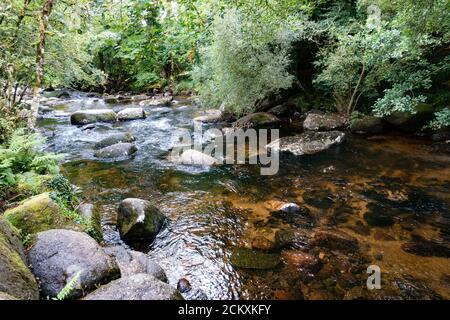 Rivière Dart à Dartmeet, la jonction des affluents de la Dart, de la Dart Ouest et de la Dart est, Dartmoor, Devon, Royaume-Uni Banque D'Images