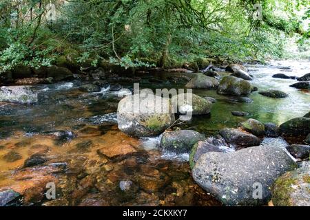 Rivière Dart à Dartmeet, la jonction des affluents de la Dart, de la Dart Ouest et de la Dart est, Dartmoor, Devon, Royaume-Uni Banque D'Images