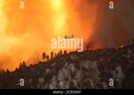 Un hélicoptère de levage lourd Boeing Vertol 107 pendant les opérations aériennes de lutte contre les incendies au Bobcat Fire près du Mt. Wilson Observatory in the Angeles National Forest 14 septembre 2020 au nord-est de Los Angeles, Californie. Le feu a détruit plus de 41,000 acres et est seulement 3% contenu. Banque D'Images