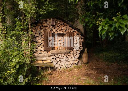 drôle de maison de pile à bois au milieu de la forêt verte avec une fenêtre et des volets et une maison d'oiseaux et un masque de carnaval brun avec des dents blanches suspendues Banque D'Images