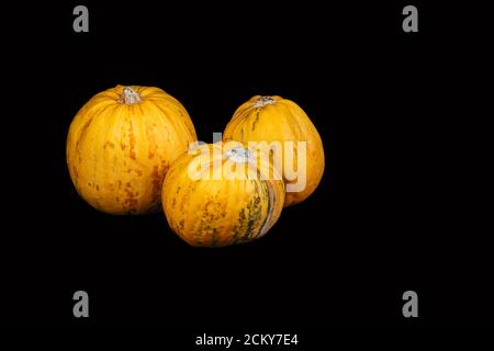 Trois citrouilles jaunes isolées sur fond noir. Banque D'Images