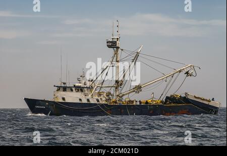 Cabo San Lucas, Mexique - 22 avril 2008 : gros plan du bateau de pêche Ensenada noir et blanc sur l'eau de l'océan gris-bleu sous un paysage bleu clair. Banque D'Images