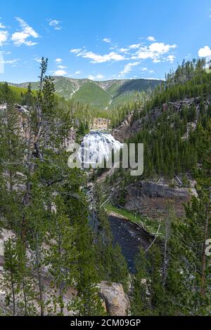 Gibbon Falls, parc national de Yellowstone Banque D'Images