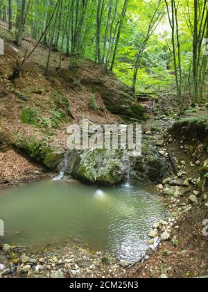 Chérile Borzesti gorge région naturelle de la rivière. Cascade sur petite rivière dans une forêt dense dans le comté de Cluj, Transylvanie, Roumanie. Les gorges de Chérile Borzesti ont mangé Banque D'Images