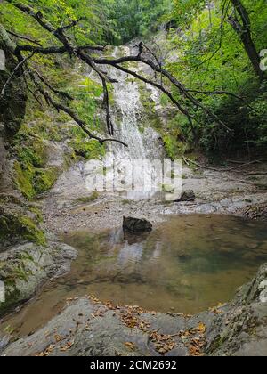 Chérile Borzesti gorge région naturelle de la rivière. Cascade sur petite rivière dans une forêt dense dans le comté de Cluj, Transylvanie, Roumanie. Cascade à Chérile Borzest Banque D'Images