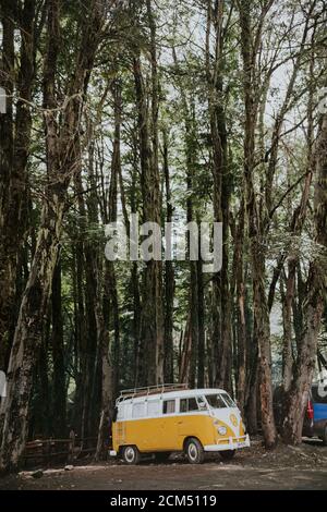 Jaune hippie kombi - Volkswagen Type 2 campeur Banque D'Images