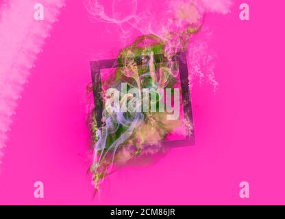 composition abstraite de fumée colorée et cadre carré sur rose fluo. Banque D'Images