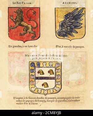 Le blason des armoiries Photo Stock - Alamy
