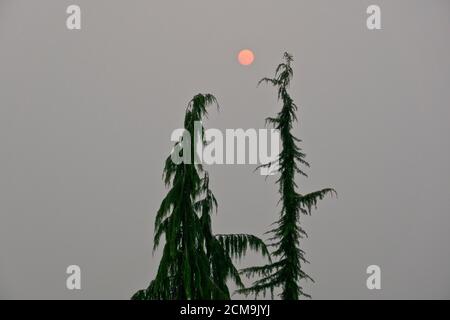 Metro Vancouver, Colombie-Britannique, Canada. 16 septembre 2020. Le soleil rouge se couche dans un ciel rempli de fumée alors que le métro de Vancouver subit une autre journée de mauvaise qualité de l'air. La fumée des feux de forêt dans l'État de Washington et dans l'Oregon continue de dériver dans la région, ce qui a incité à des avis sur la qualité de l'air. Banque D'Images