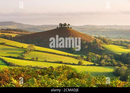 Bridport, Dorset, Royaume-Uni. 17 septembre 2020. Météo Royaume-Uni. Vue de Eype Down de Colmers Hill près de Bridport dans Dorset qui montre ses couleurs d'automne comme il est baigné en début de matinée soleil d'automne pendant l'heure d'or après le lever du soleil. Crédit photo : Graham Hunt/Alamy Live News Banque D'Images