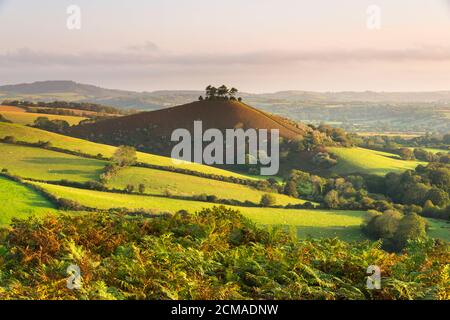 Bridport, Dorset, Royaume-Uni. 17 septembre 2020. Météo Royaume-Uni. Vue de Eype Down de Colmers Hill près de Bridport dans Dorset qui montre ses couleurs d'automne comme il est baigné en début de matinée soleil d'automne pendant l'heure d'or après le lever du soleil. Crédit photo : Graham Hunt/Alamy Live News Banque D'Images