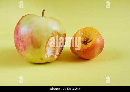 Une pomme mordue et un nectarine entier se trouvent sur un fond coloré. Gros plan Banque D'Images