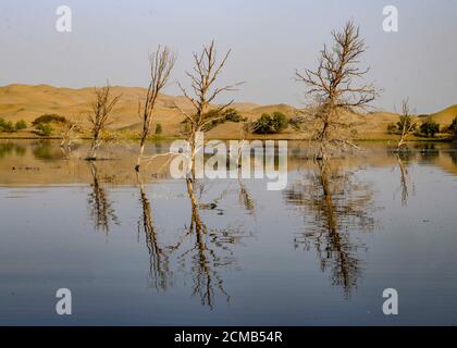 Yuli, région autonome de Xinjiang Uygur en Chine. 15 septembre 2020. La photo montre une vue du lac lop dans le comté de Yuli, dans la région autonome du Xinjiang Uygur, dans le nord-ouest de la Chine, le 15 septembre 2020. Credit: Zhao GE/Xinhua/Alay Live News Banque D'Images