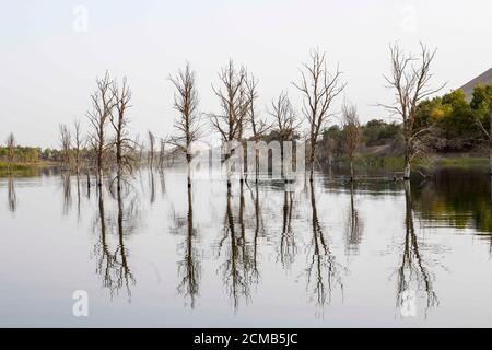 Yuli, région autonome de Xinjiang Uygur en Chine. 15 septembre 2020. La photo montre une vue du lac lop dans le comté de Yuli, dans la région autonome du Xinjiang Uygur, dans le nord-ouest de la Chine, le 15 septembre 2020. Credit: Zhao GE/Xinhua/Alay Live News Banque D'Images