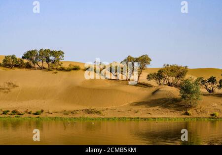 Yuli, région autonome de Xinjiang Uygur en Chine. 16 septembre 2020. La photo montre une vue du lac lop dans le comté de Yuli, dans la région autonome du Xinjiang Uygur, dans le nord-ouest de la Chine, le 16 septembre 2020. Credit: Zhao GE/Xinhua/Alay Live News Banque D'Images