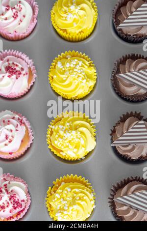 Variété de cupcakes dans une plaque de cuisson en métal fond de bois gris Banque D'Images