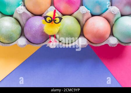 Œufs de pâques multicolores dans une boîte avec une miette jaune mignonne. Vue de dessus sur fond coloré. Banque D'Images