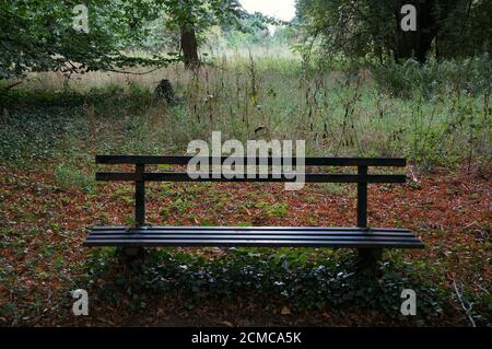 Un banc de parc vide dans une zone boisée du cimetière victorien de Boston pendant l'automne Banque D'Images