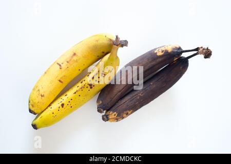 Bananes mûres jaunes avec deux bananes brunes très mûres derrière, plus mûres, pourries, douces, manger, nourriture, banane Banque D'Images