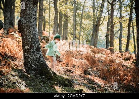 Petite fille dans une forêt d'automne parmi les fougères Banque D'Images