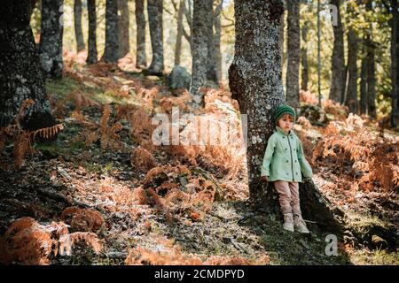 Petite fille dans une forêt d'automne parmi les fougères Banque D'Images