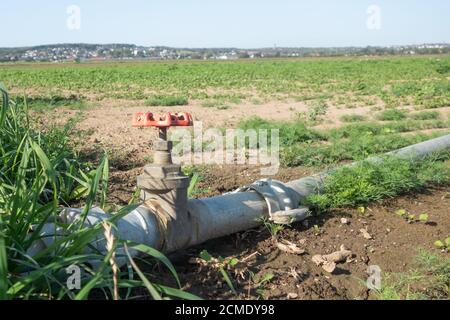 Système d'irrigation sur un champ près de Bornheim, dans le district de Rhein-Sieg, en Allemagne. Banque D'Images