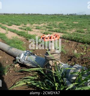 Système d'irrigation sur un champ près de Bornheim, dans le district de Rhein-Sieg, en Allemagne. Banque D'Images