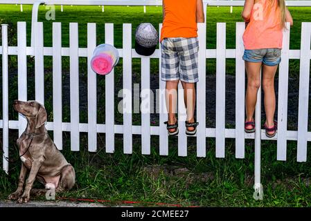 Prague, République tchèque. 13 septembre 2020. Les enfants regardent les courses hippiques de la coupe d'or de l'électrification des chemins de fer de Prague le 13 septembre 2020, à l'hippodrome de Velka Chuchle, à Prague, en République tchèque. Crédit : Roman Vondrous/CTK photo/Alay Live News Banque D'Images