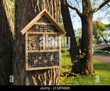 Des hôtels d'insectes attachés sur de beaux arbres de jardin Banque D'Images