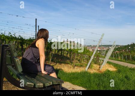 Bonne fille sur le banc de détente avec vue sur le raisin Paysage de terrain et la Festung ou le fort Marienberg Banque D'Images