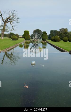 Koi Carp (Cyprinus rubrofuscus), natation vers caméra, Yorkshire de l'est Angleterre, Royaume-Uni, GB, Banque D'Images