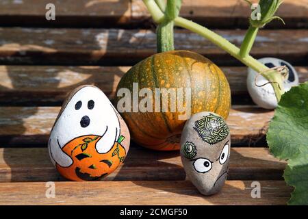 Halloween rock painting roches avec la plante de citrouille et la fleur de citrouille poussant dans le jardin anglais britannique, septembre 2020 Banque D'Images