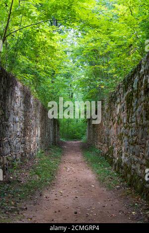 Sentier de randonnée entre les anciens murs en pierre du parc national de Landsford Canal, en Caroline du Sud, aux États-Unis Banque D'Images