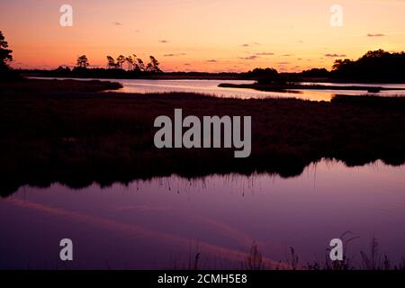 Coucher de soleil dans la réserve naturelle de Blackwater, Maryland, avec la silhouette des marais, des arbres et de l'herbe haute. Banque D'Images