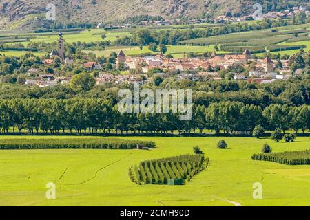 Vastes plantations de pommes dans le Val Venosta avec la ville fortifiée de Glurns en arrière-plan, Tyrol du Sud, Italie Banque D'Images