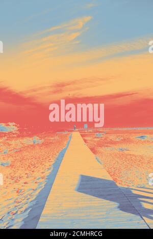 Vue sur la promenade en bois sur la plage de dunes de sable de l'île d'Assateague, avec filtre de gradient pour créer un aspect d'illustration. Banque D'Images