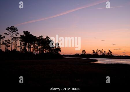 Coucher de soleil dans la réserve naturelle de Blackwater, Maryland, avec silhouette de marais, d'arbres et d'herbes hautes. Banque D'Images