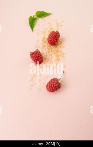 Framboises mûres, sucre et feuilles de menthe fraîche sur fond rose pastel. Banque D'Images