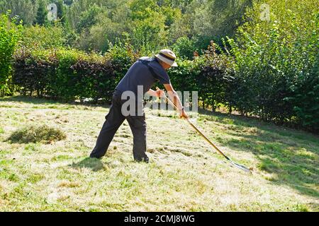 Homme portant un chapeau de soleil ratissant de l'herbe de prairie longue coupe sèche dans le jardin d'automne le beau jour chaud et ensoleillé en septembre 2020 Carmarthenshire pays de Galles Royaume-Uni. KATHY DEWITT Banque D'Images