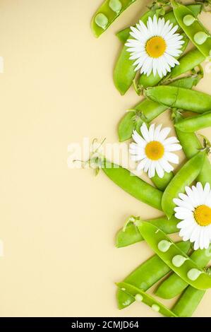 Jeunes pois verts et fleurs pâquerettes à droite sur fond jaune clair pastel. Banque D'Images