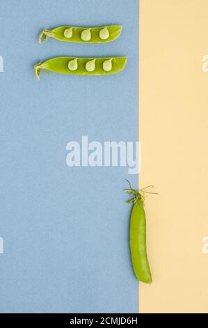 Petits pois verts frais sur fond texturé jaune-bleu. Banque D'Images