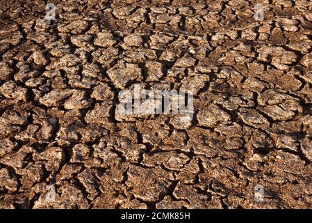 Terre fissurée et sèche dans le désert. Réchauffement climatique et pénurie d'eau sur la planète. Sécheresse, terre fissurée. Texture naturelle du sol avec fissures Banque D'Images