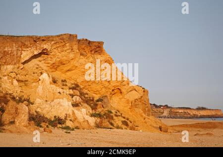 Une section de falaise montrant les dépôts du Pléistocène moyen de sables glaciaires sur la côte nord du Norfolk à Happisburgh, Norfolk, Angleterre, Royaume-Uni. Banque D'Images
