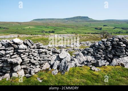 Horton-in Ribblesdale près de Sulber Nick Banque D'Images